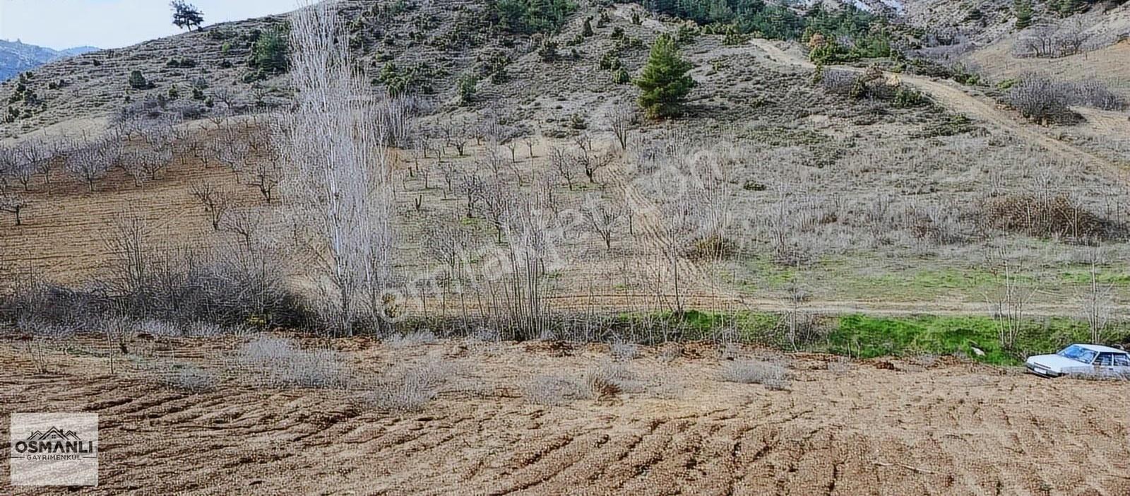 Küre Köyüne 5 Dk Mesafede İçi Düzeltilmiş 1.450 M2 Satılık Arazi - Görsel 9