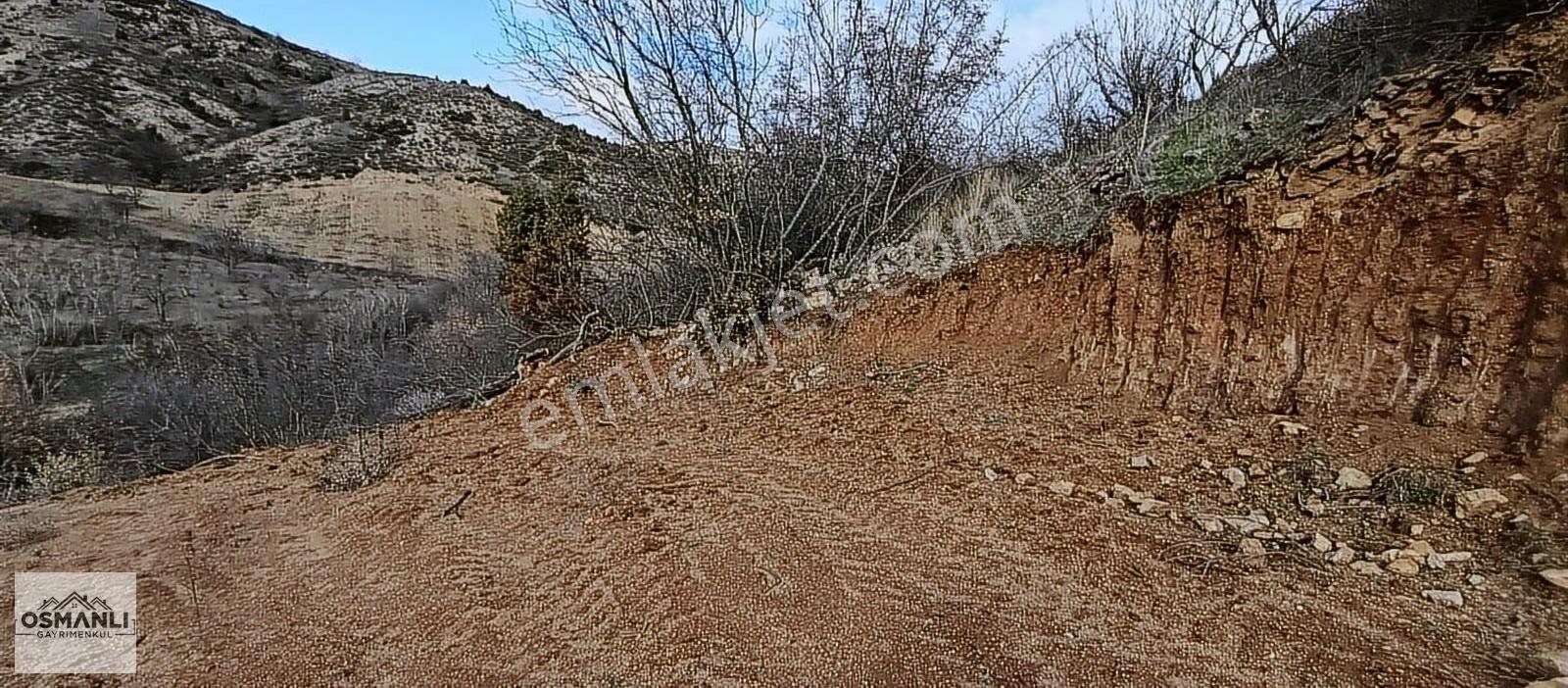 Küre Köyüne 5 Dk Mesafede İçi Düzeltilmiş 1.450 M2 Satılık Arazi - Görsel 17