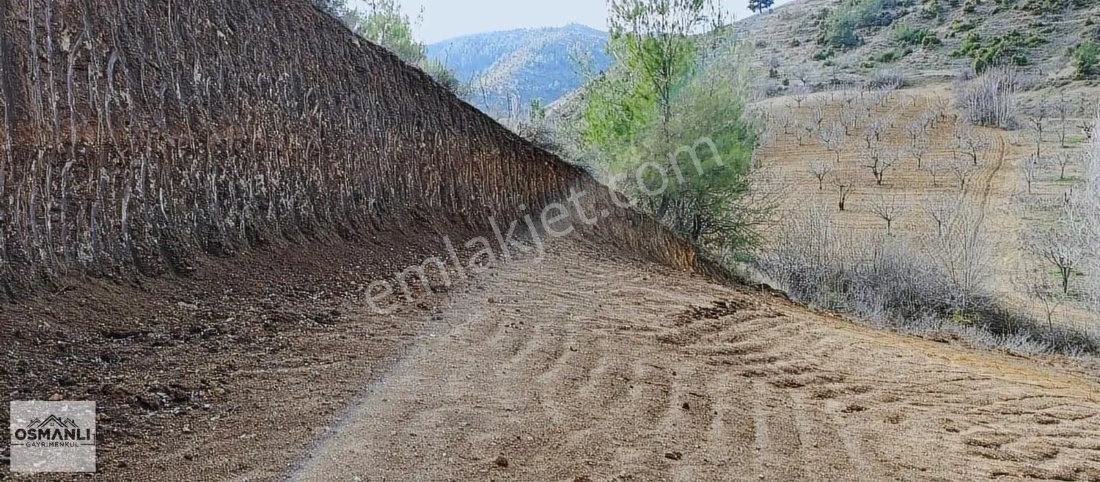 Küre Köyüne 5 Dk Mesafede İçi Düzeltilmiş 1.450 M2 Satılık Arazi - Görsel 3