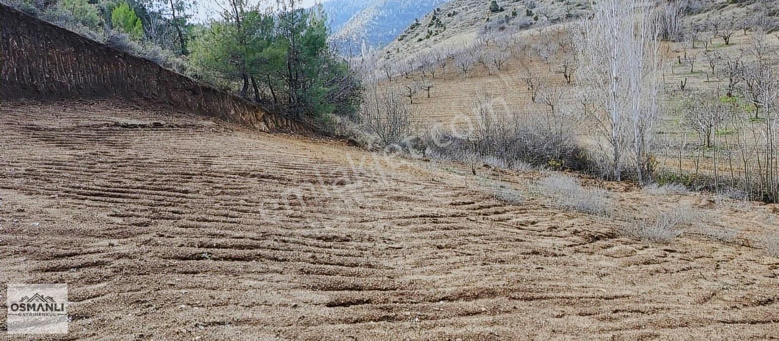 Küre Köyüne 5 Dk Mesafede İçi Düzeltilmiş 1.450 M2 Satılık Arazi - Görsel 4