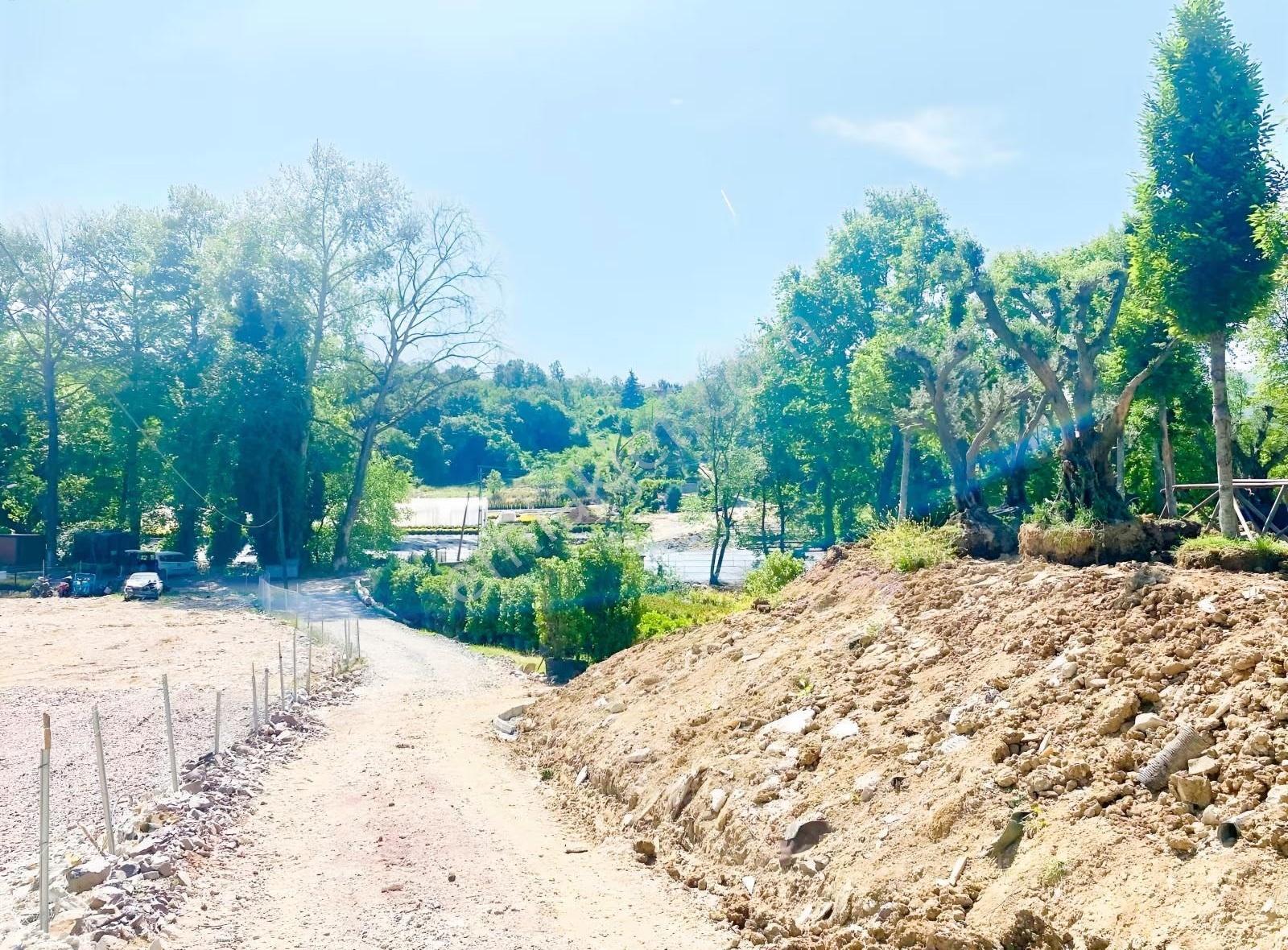 Yalova Kirazlıda İmarın Dibinde 7300 M2 Satılık Tarla - Görsel 9