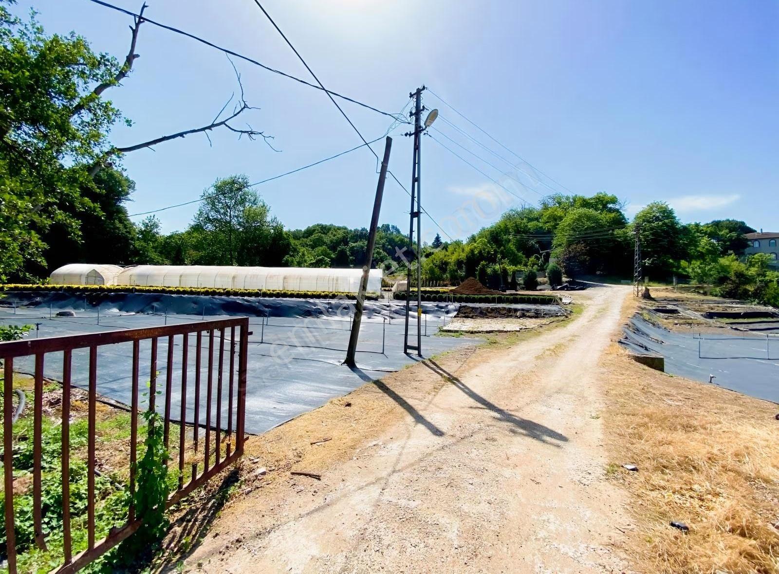 Yalova Kirazlıda İmarın Dibinde 7300 M2 Satılık Tarla - Görsel 7