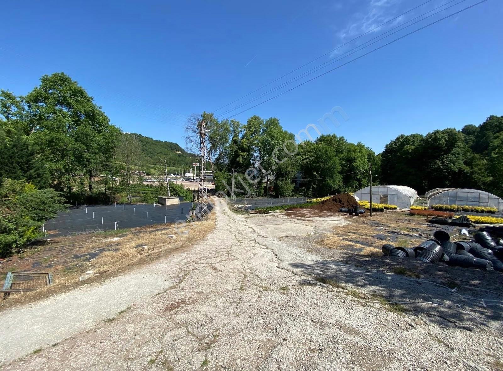 Yalova Kirazlıda İmarın Dibinde 7300 M2 Satılık Tarla - Görsel 12