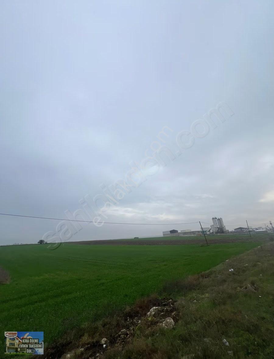 Saray'da Cadde Cephe 1625m2 Acil Satılık Tarla - Görsel 3