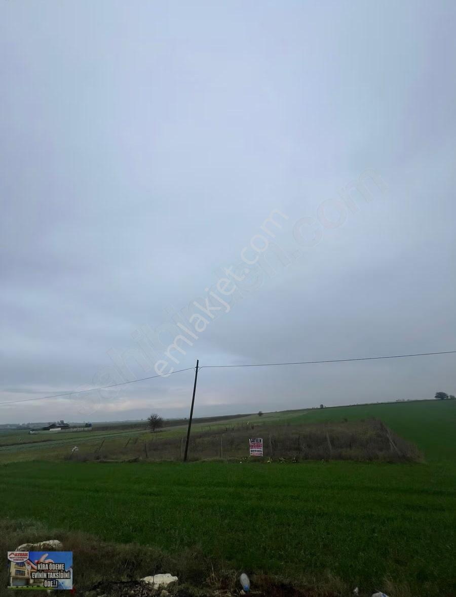 Saray'da Cadde Cephe 1625m2 Acil Satılık Tarla - Görsel 5