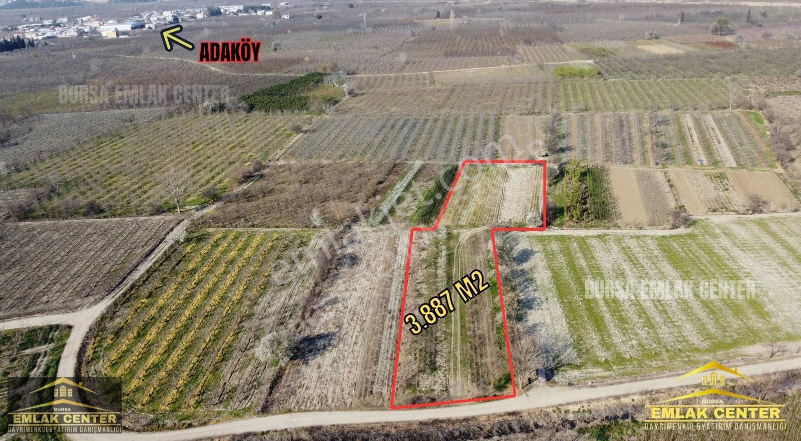 Gürsu Adaköy'de Kadastro Yola Cephe Satılık Tarla - Görsel 6