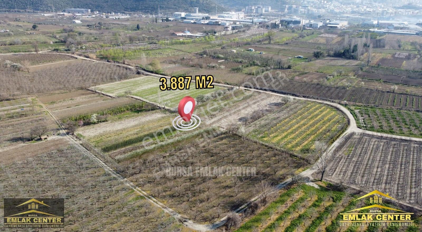 Gürsu Adaköy'de Kadastro Yola Cephe Satılık Tarla - Görsel 9