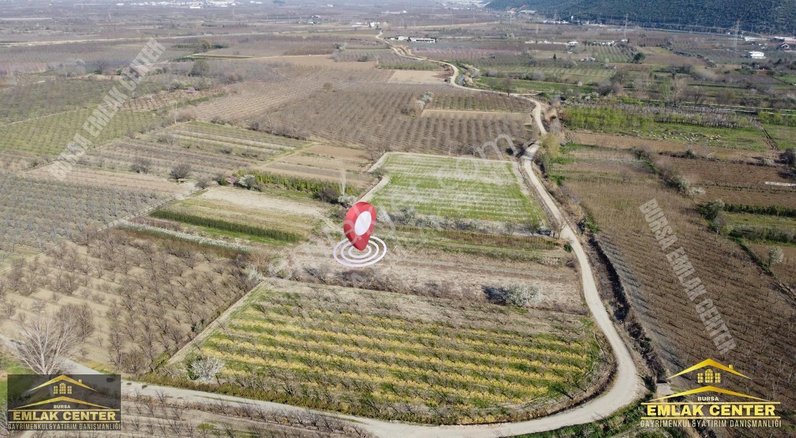Gürsu Adaköy'de Kadastro Yola Cephe Satılık Tarla - Görsel 4