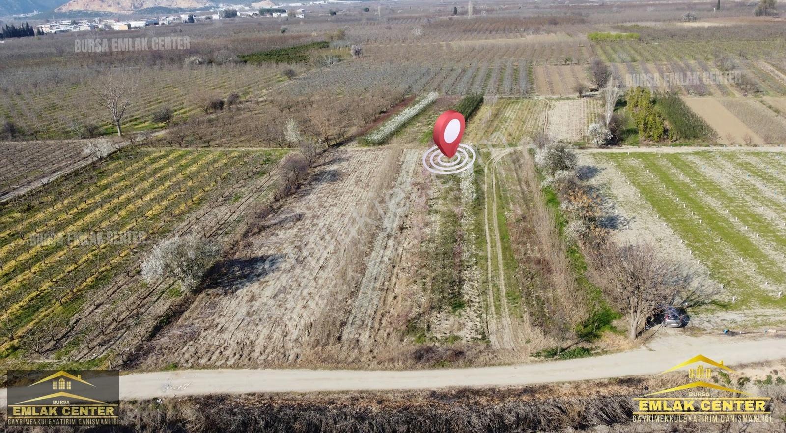 Gürsu Adaköy'de Kadastro Yola Cephe Satılık Tarla - Görsel 10