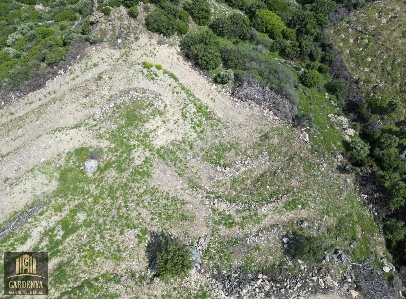 Güllübahçe'de 9.885 M2 Satılık Meyve Bahçesi - Görsel 8