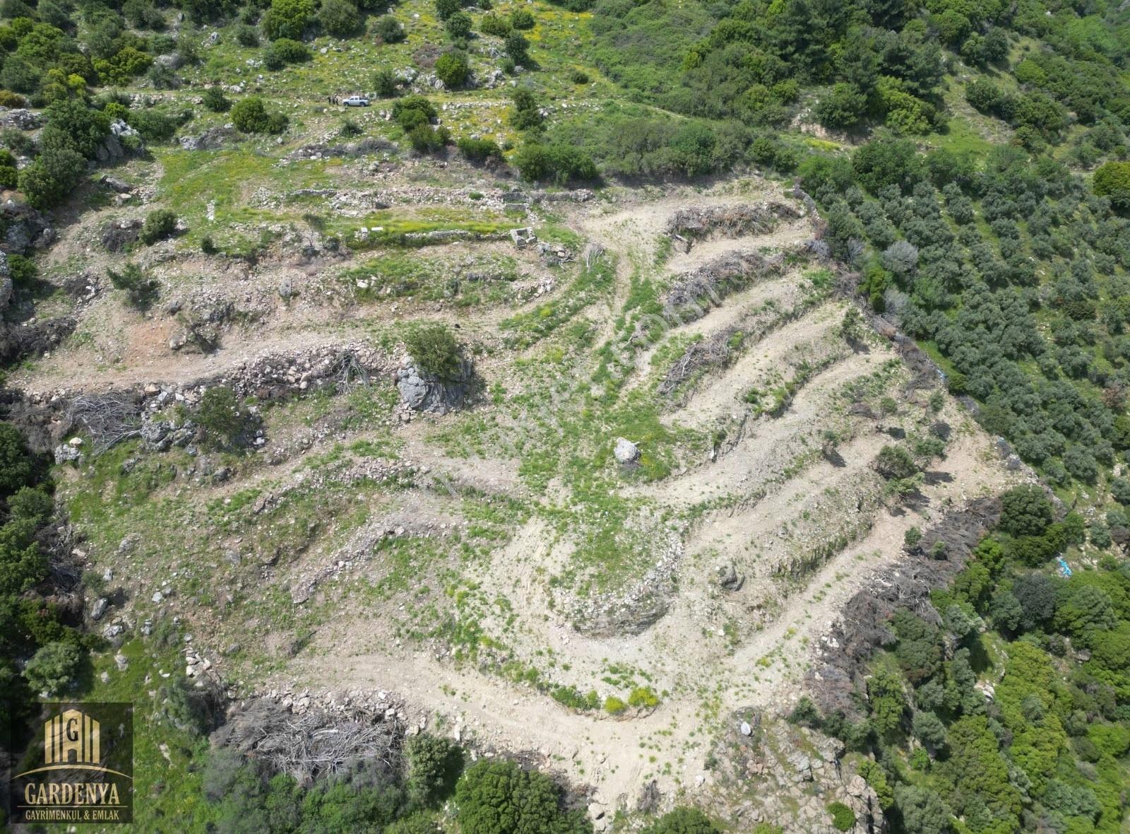Güllübahçe'de 9.885 M2 Satılık Meyve Bahçesi - Görsel 4