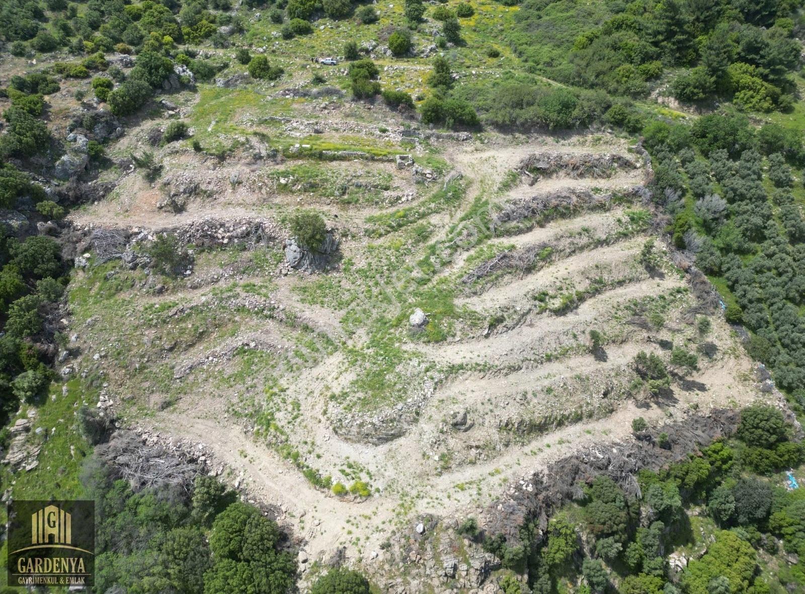 Güllübahçe'de 9.885 M2 Satılık Meyve Bahçesi - Görsel 2