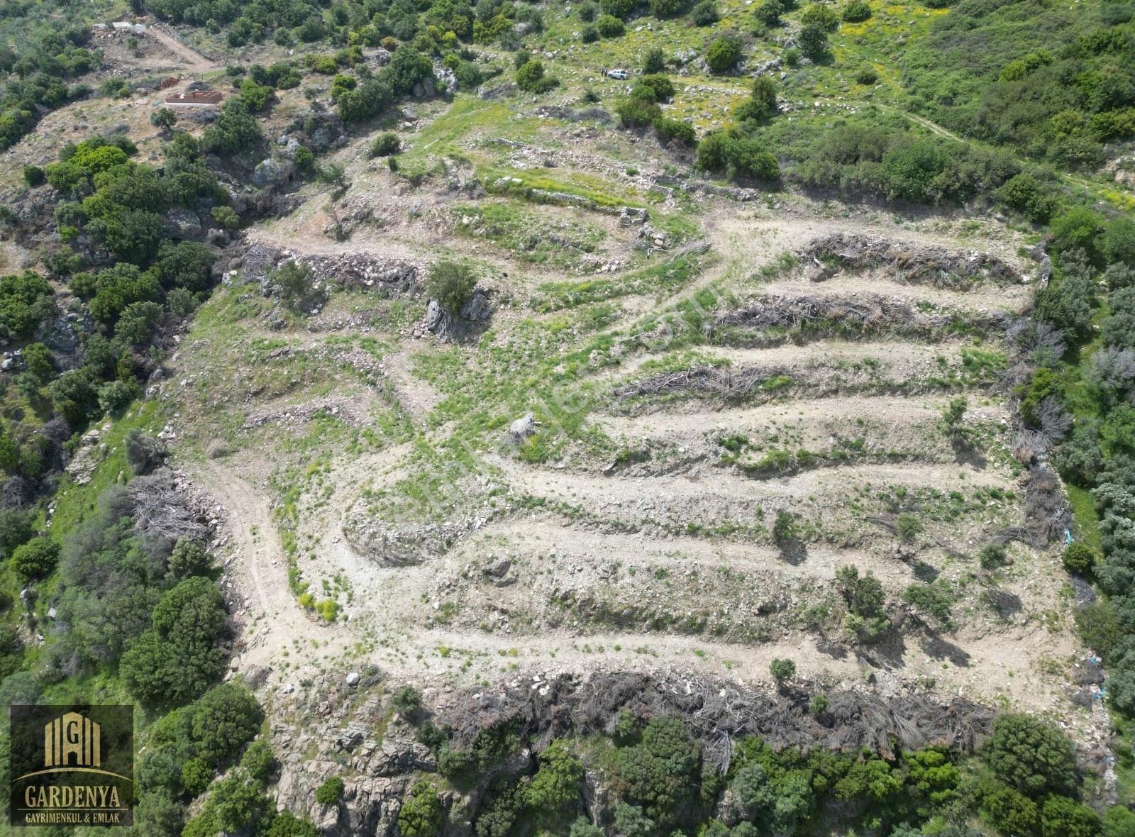 Güllübahçe'de 9.885 M2 Satılık Meyve Bahçesi - Görsel 5