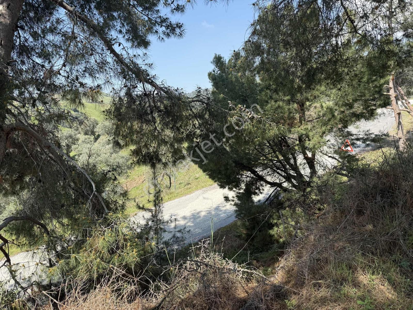 Remax Pin'den Danişmentte 4381 M2 Ana Yola Cephe Zeytinlik - Görsel 10
