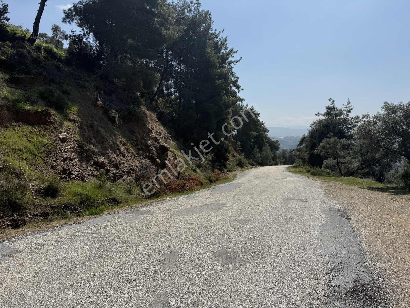 Remax Pin'den Danişmentte 4381 M2 Ana Yola Cephe Zeytinlik - Görsel 12