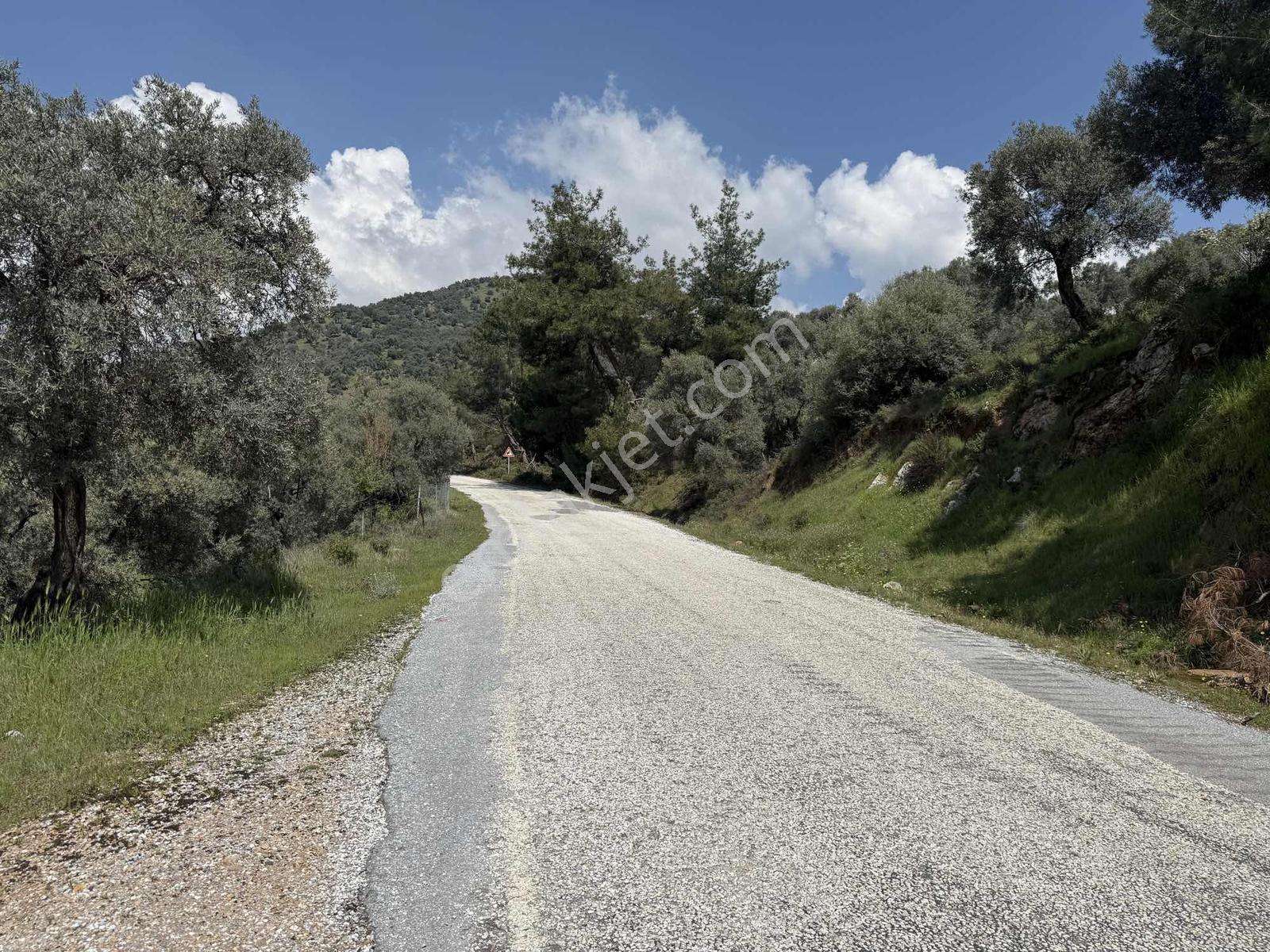 Remax Pin'den Danişmentte 4381 M2 Ana Yola Cephe Zeytinlik