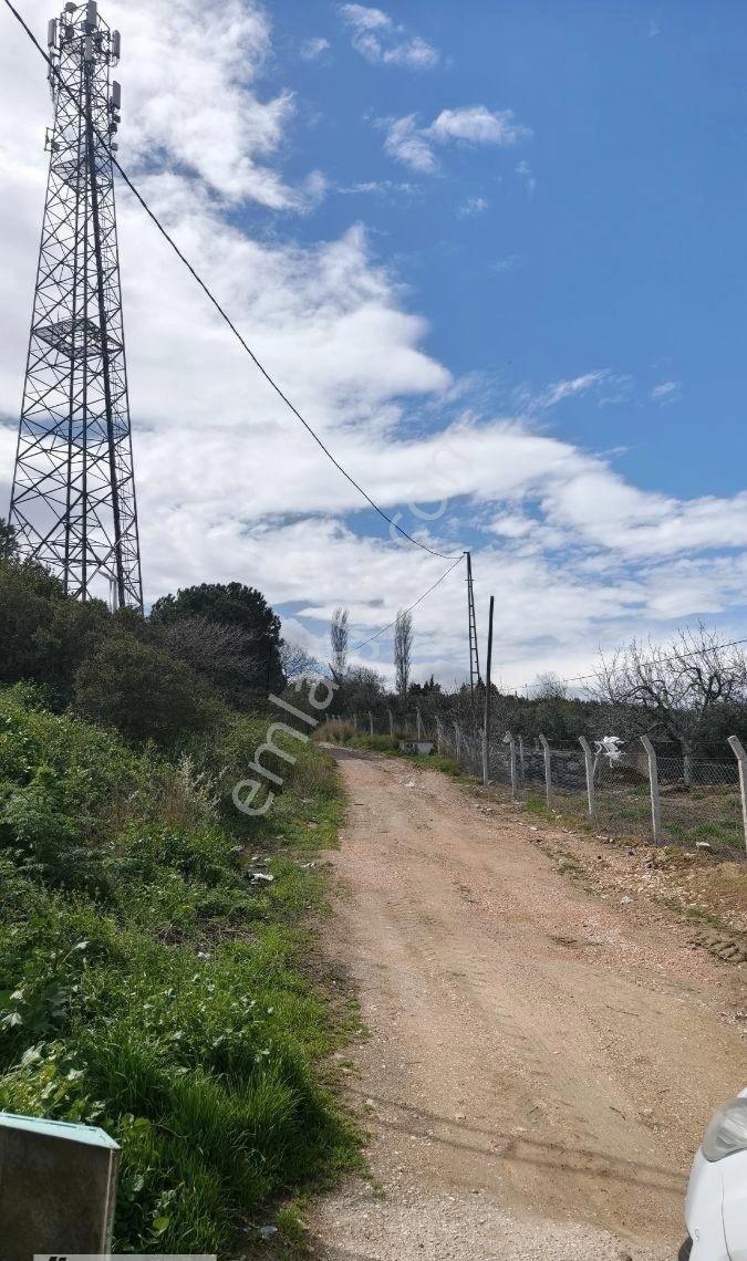 Edincik'te Arte-mülk Yönetiminden 1.581 Metre2 Zeytinlik - Görsel 16