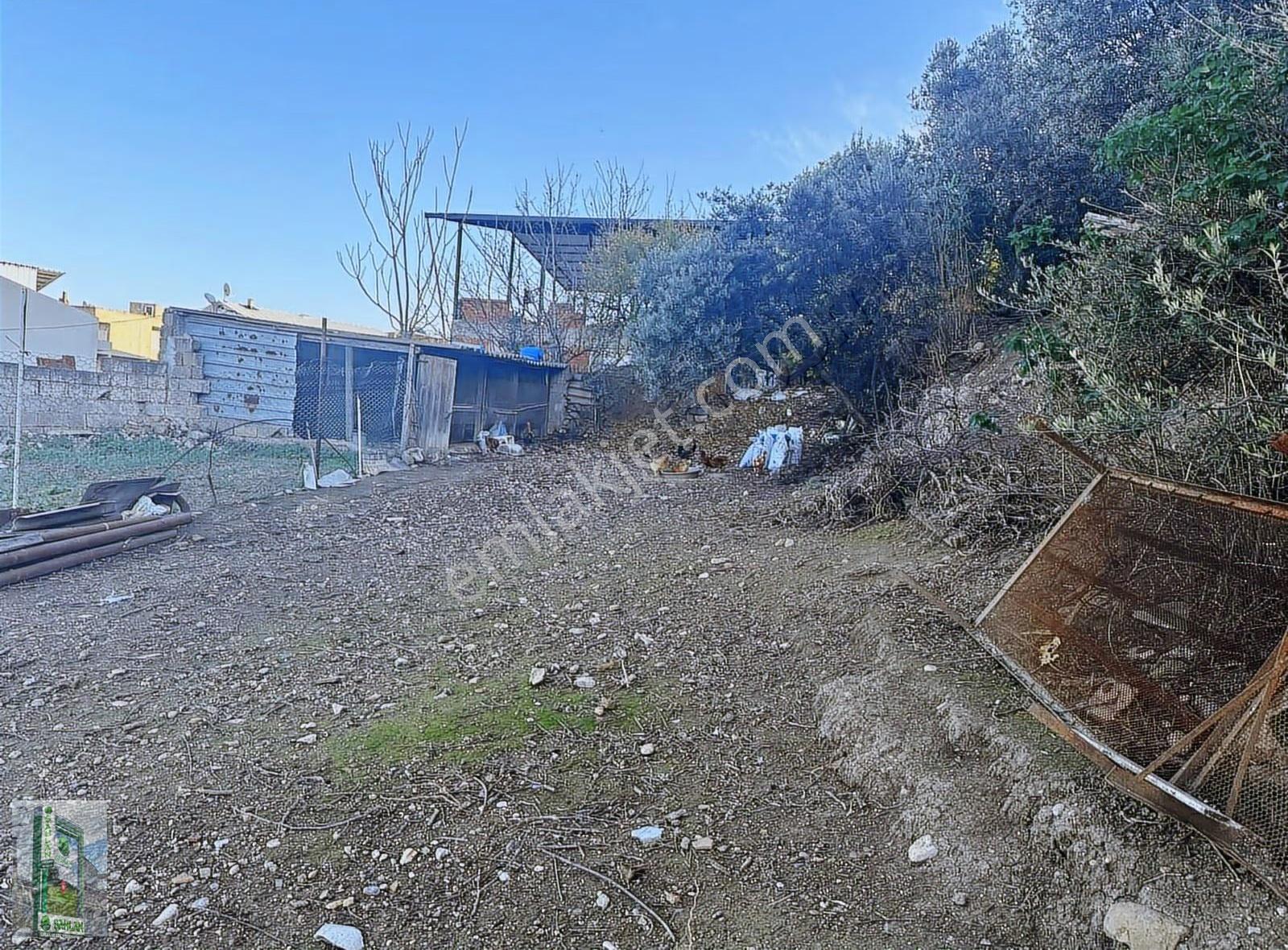 Musakça Da Deniz Manzaralı İmarlı 800m2 Satılık Arsa - Görsel 7