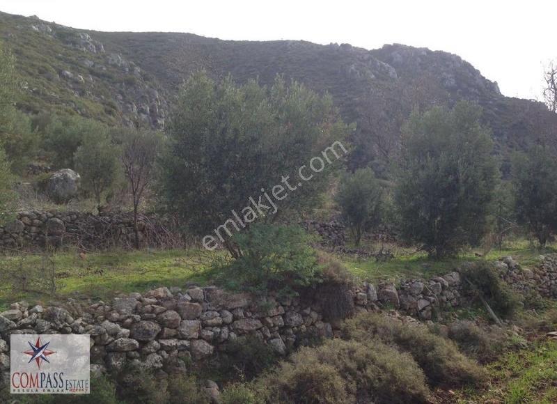Marmaris / Söğüt Kaygıseki Satılık Yatırımlık Tarla - Görsel 3