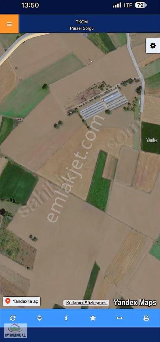 Köye Yakın 4600m2 Seracılık İçin Uygun (elektrik Var) - Görsel 2
