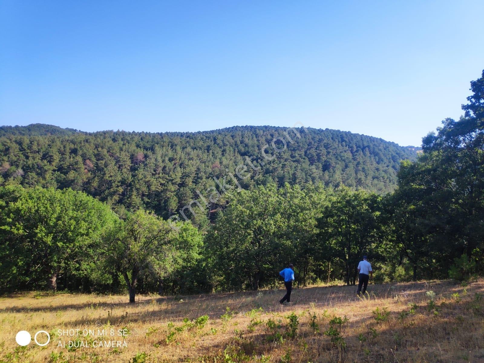 Balıkesir Havran Küçükşapçıda Kelepir 18.603m2 Müstakil Arazi - Görsel 5