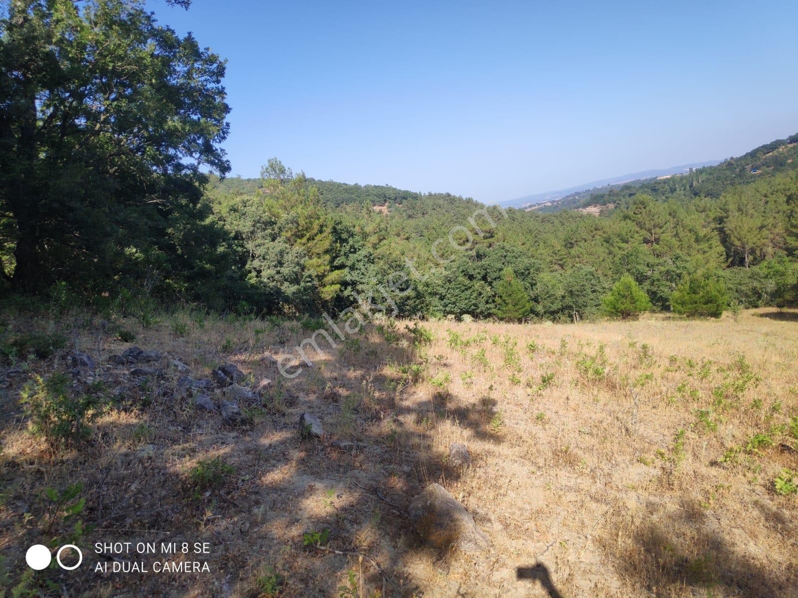 Balıkesir Havran Küçükşapçıda Kelepir 18.603m2 Müstakil Arazi - Görsel 18