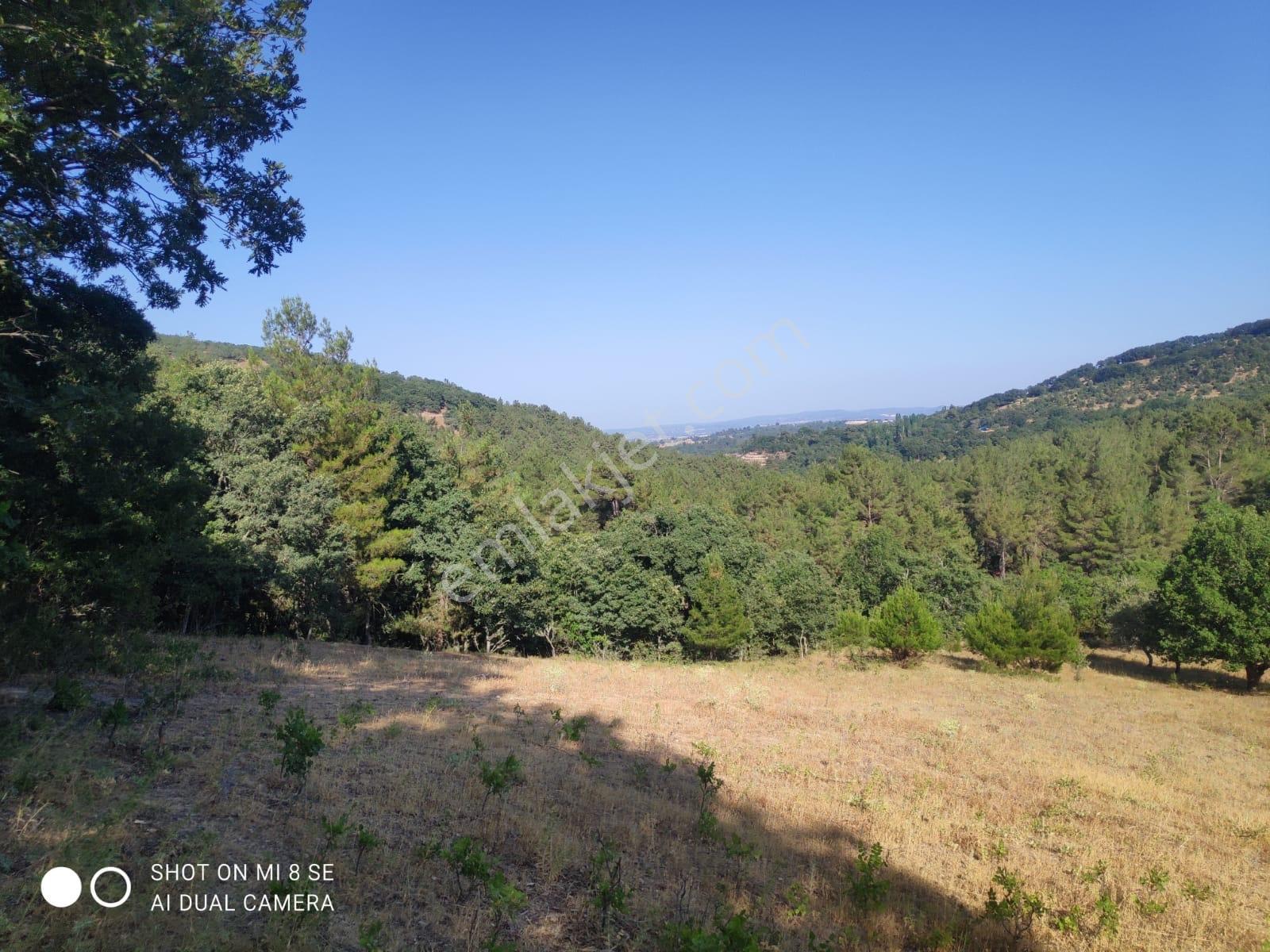 Balıkesir Havran Küçükşapçıda Kelepir 18.603m2 Müstakil Arazi - Görsel 3