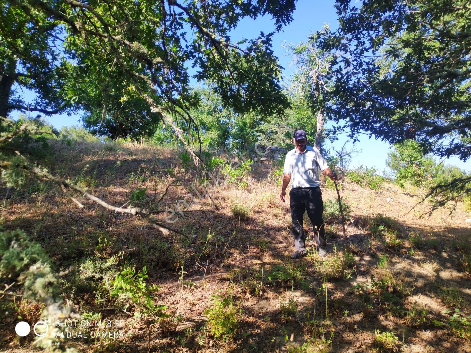 Balıkesir Havran Küçükşapçıda Kelepir 18.603m2 Müstakil Arazi - Görsel 7