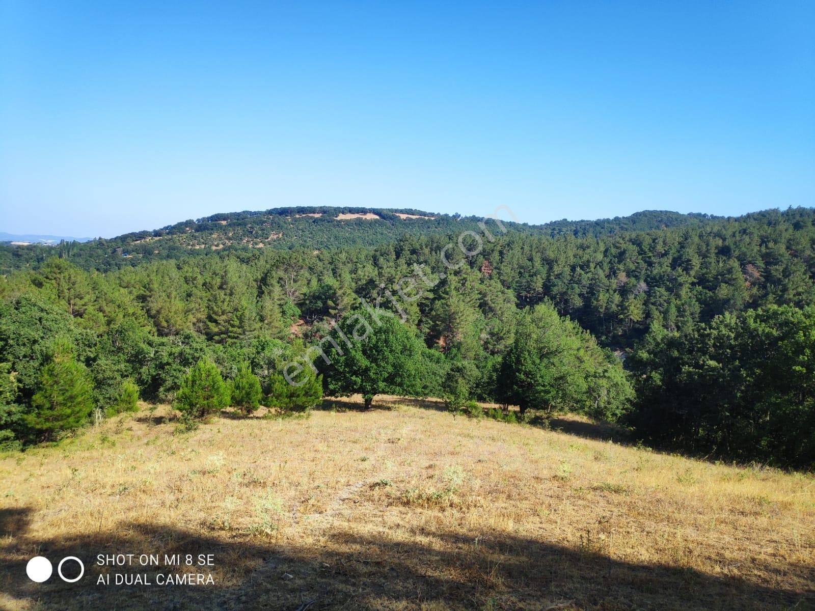 Balıkesir Havran Küçükşapçıda Kelepir 18.603m2 Müstakil Arazi - Görsel 4
