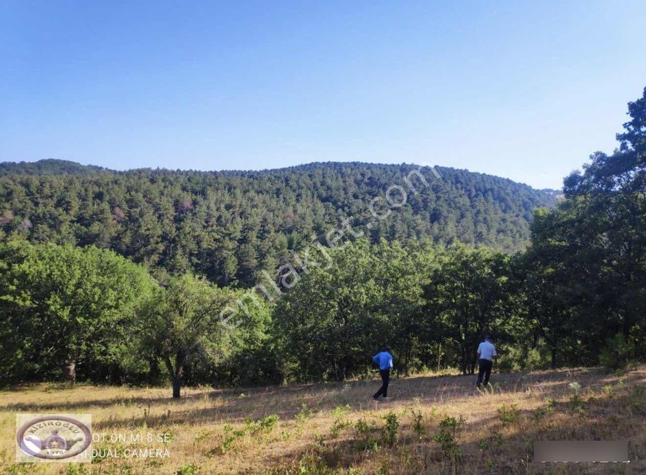 Balıkesir Havran Küçükşapçıda Kelepir 18.603m2 Müstakil Arazi - Görsel 9
