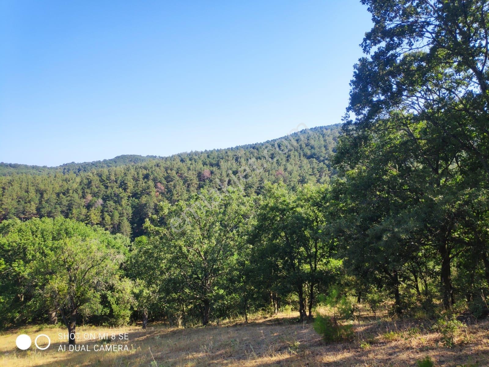 Balıkesir Havran Küçükşapçıda Kelepir 18.603m2 Müstakil Arazi - Görsel 16