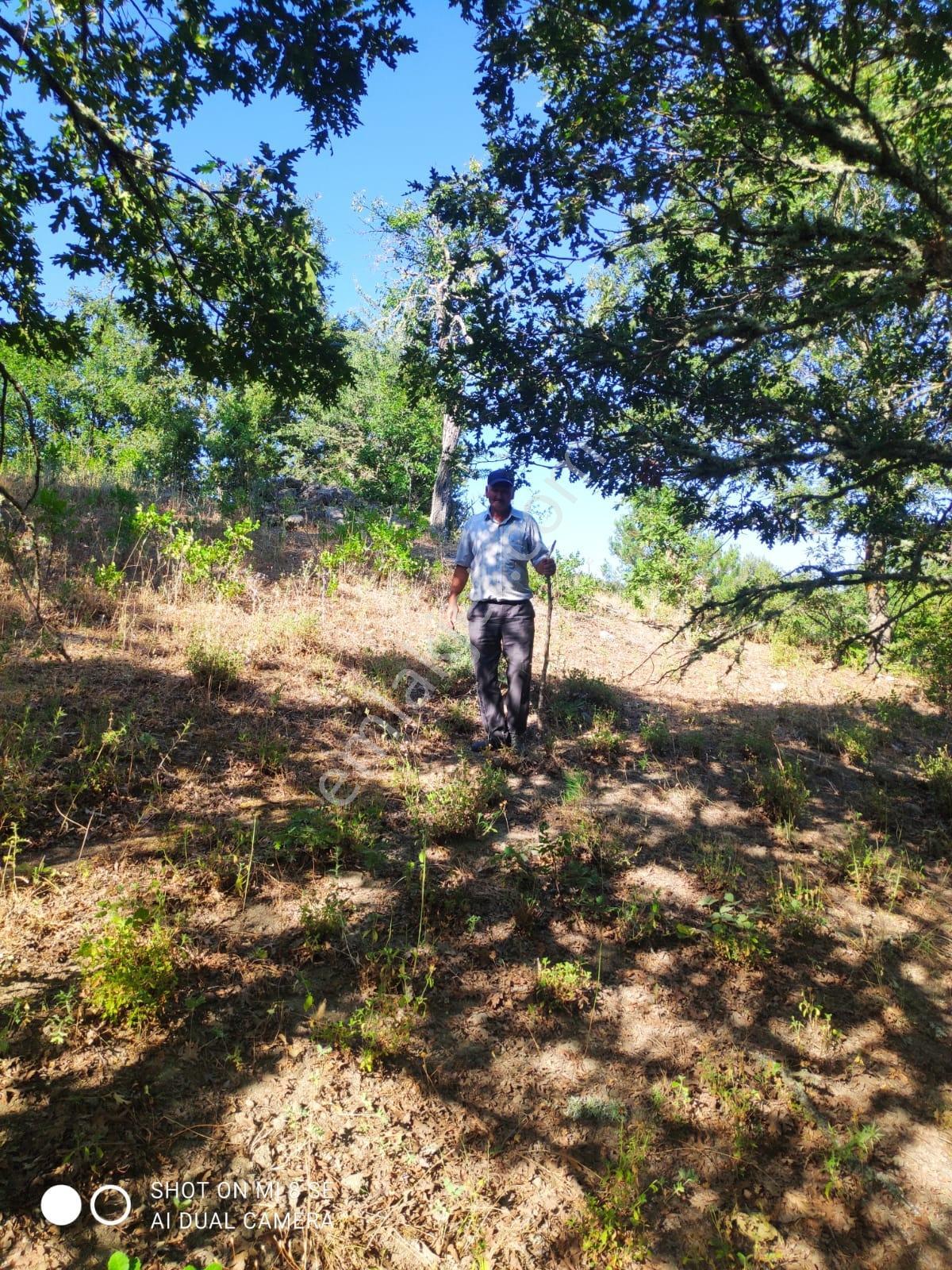 Balıkesir Havran Küçükşapçıda Kelepir 18.603m2 Müstakil Arazi - Görsel 8