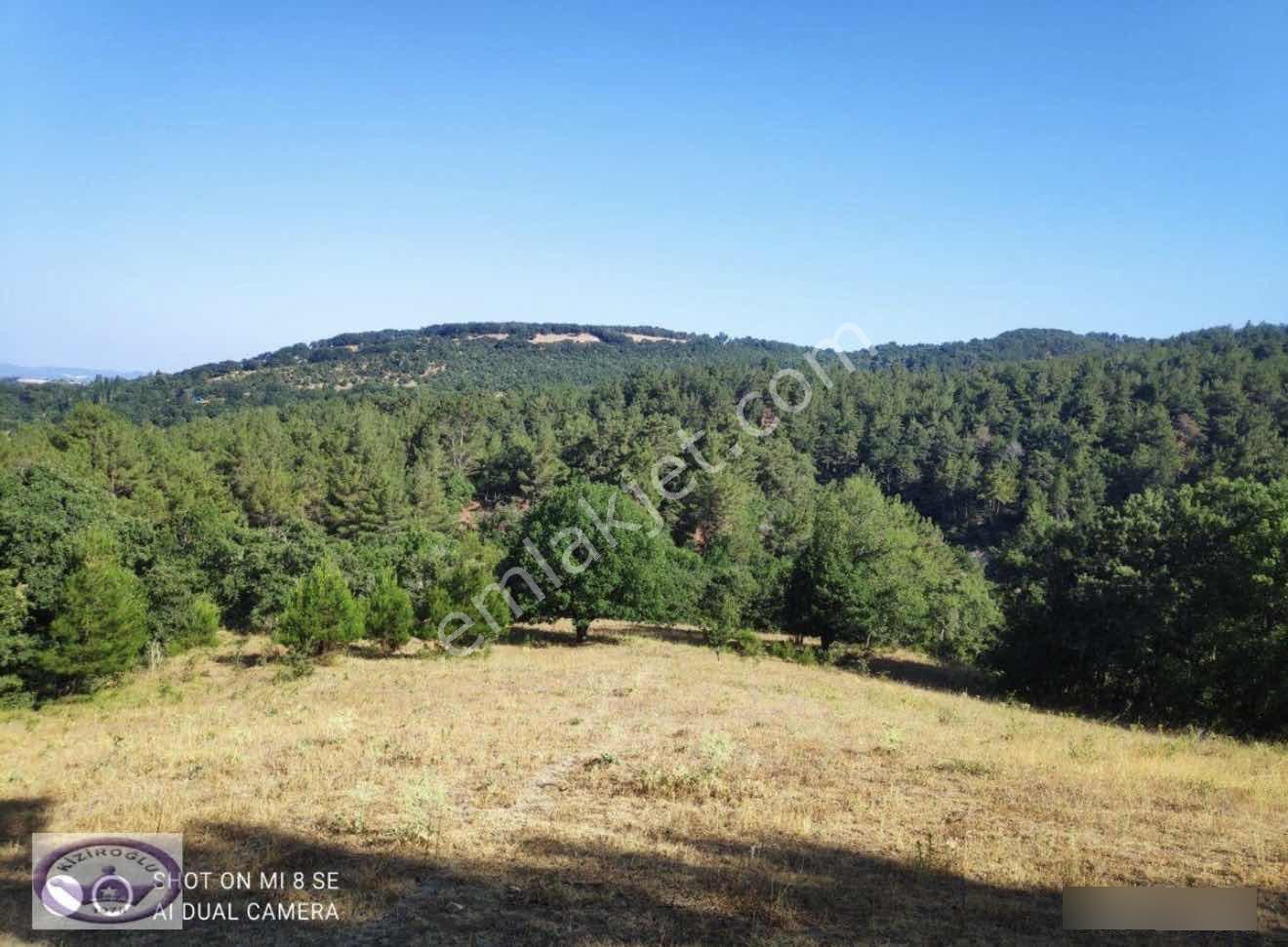 Balıkesir Havran Küçükşapçıda Kelepir 18.603m2 Müstakil Arazi - Görsel 17