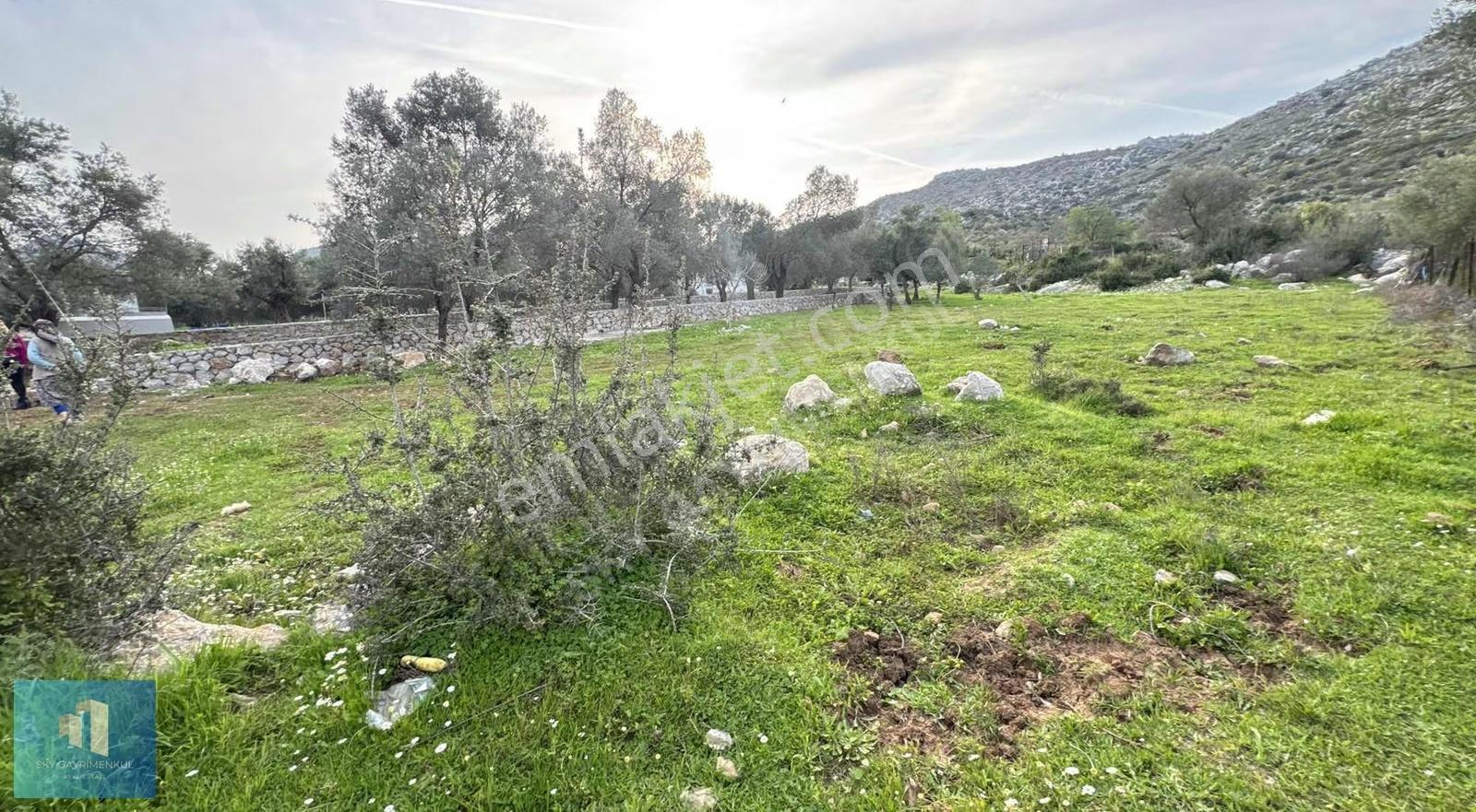 Marmaris Bozburun'da Yerleşim Yeri İçerisinde Fırsat Tarla - Görsel 4