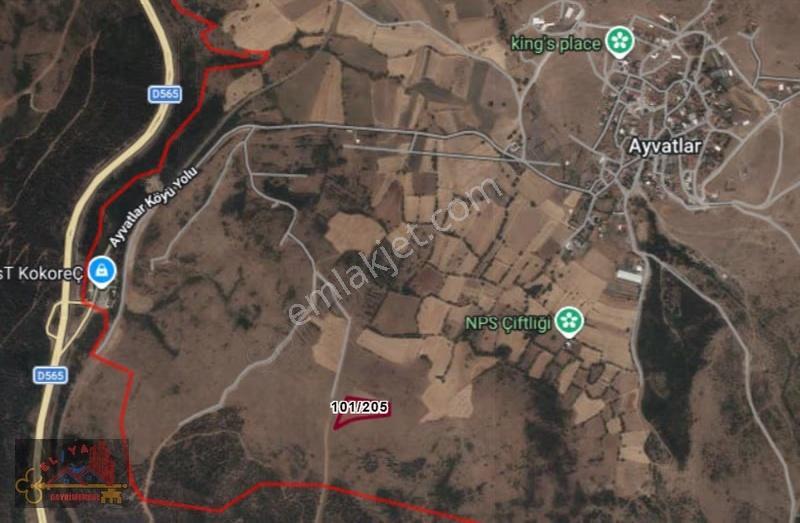 El/ya' Dan Ayvatlar Mah. 7665 M2 Meraya Sıfır Tarla - Görsel 9