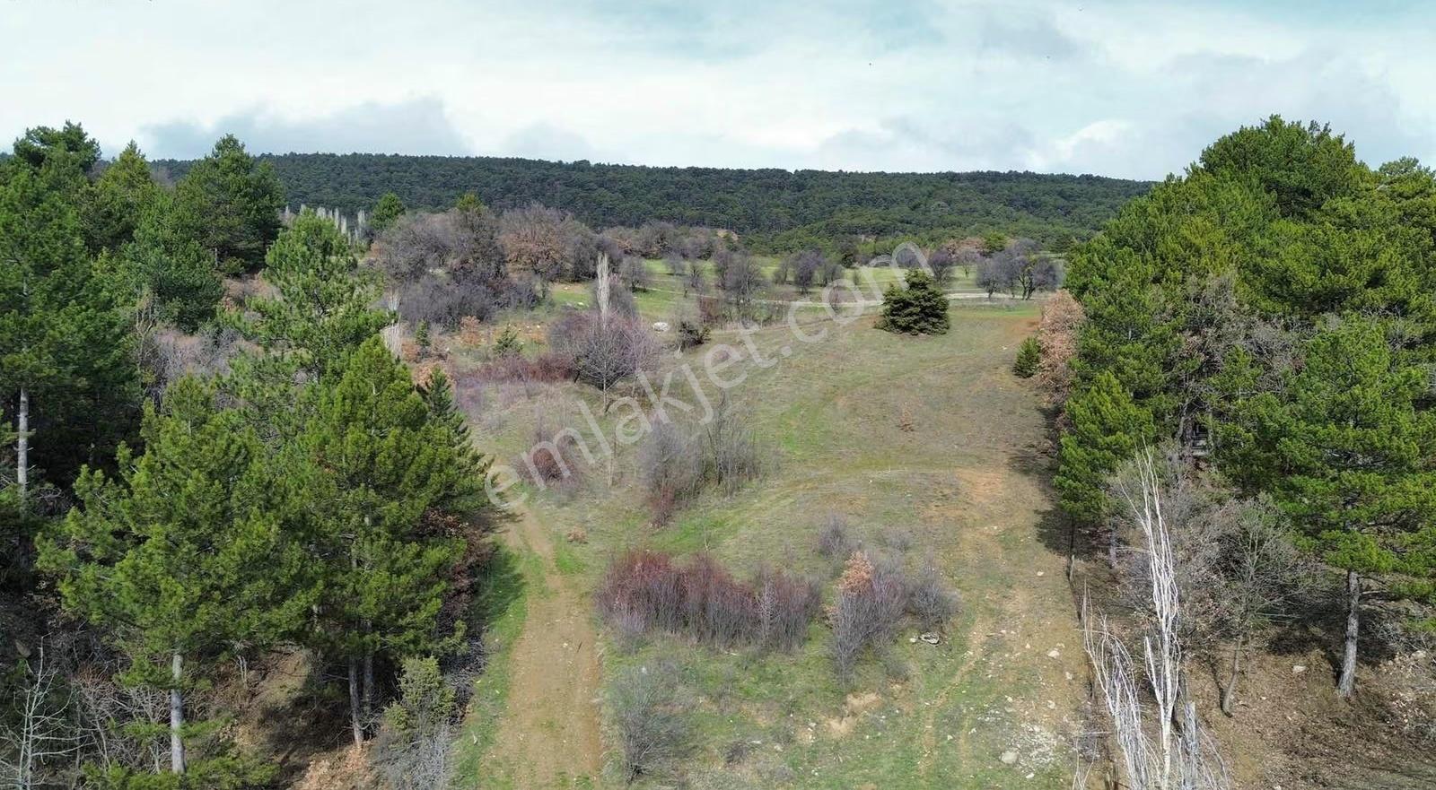 Göynük Dağşeyhleri Köyünde Köy Manzaralı 1538m2 Satılık Arazi - Görsel 27