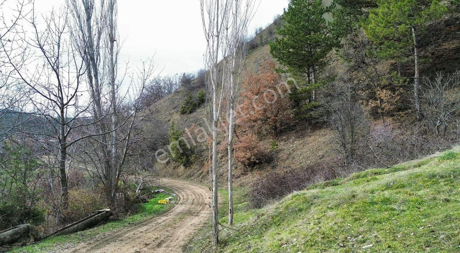 Göynük Dağşeyhleri Köyünde Köy Manzaralı 1538m2 Satılık Arazi - Görsel 11
