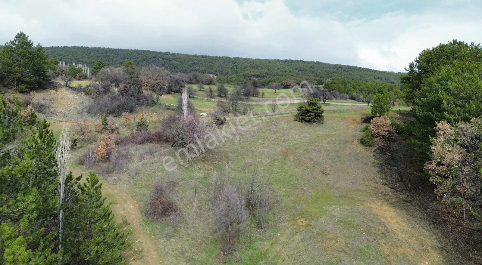 Göynük Dağşeyhleri Köyünde Köy Manzaralı 1538m2 Satılık Arazi - Görsel 30