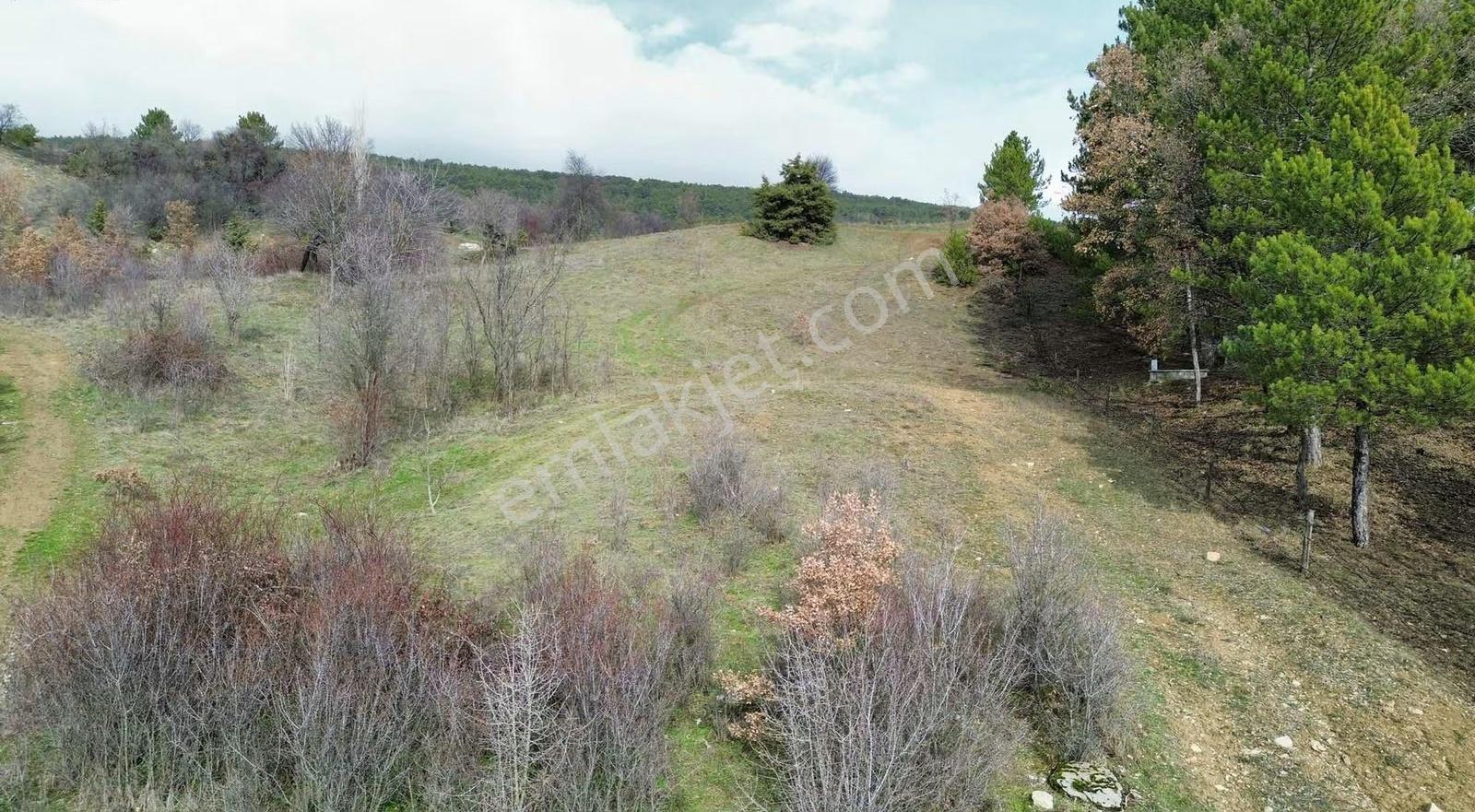 Göynük Dağşeyhleri Köyünde Köy Manzaralı 1538m2 Satılık Arazi - Görsel 8