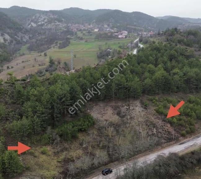 Göynük Kürnüç Köyünde 1268 M2 Satılık Arazi - Görsel 7