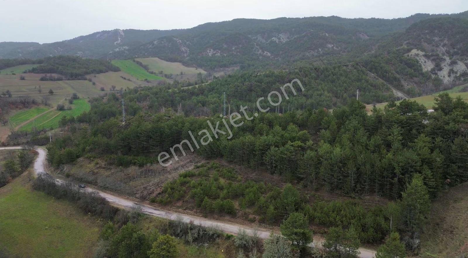 Göynük Kürnüç Köyünde 1268 M2 Satılık Arazi - Görsel 8