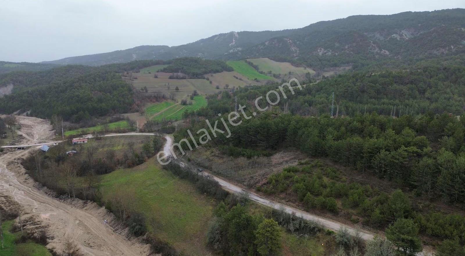 Göynük Kürnüç Köyünde 1268 M2 Satılık Arazi - Görsel 10