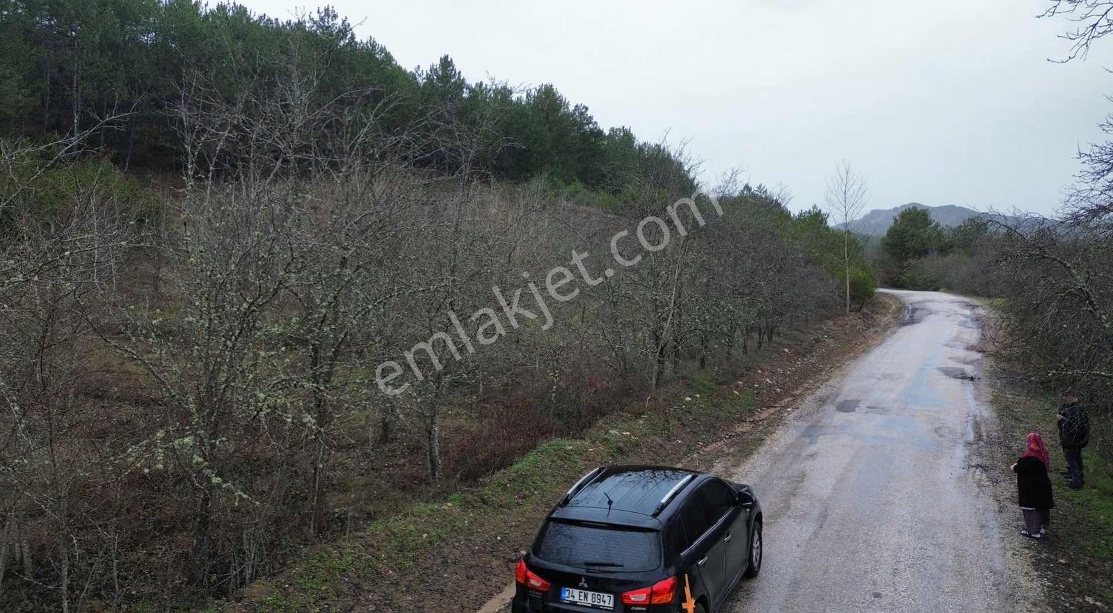Göynük Kürnüç Köyünde 1268 M2 Satılık Arazi - Görsel 3