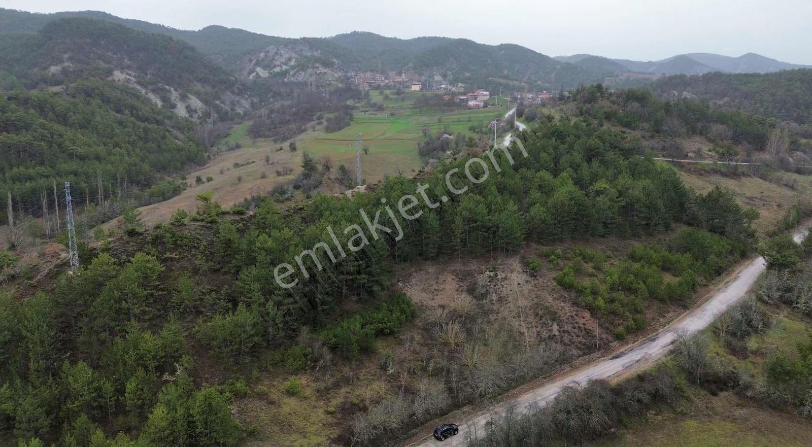 Göynük Kürnüç Köyünde 1268 M2 Satılık Arazi - Görsel 11
