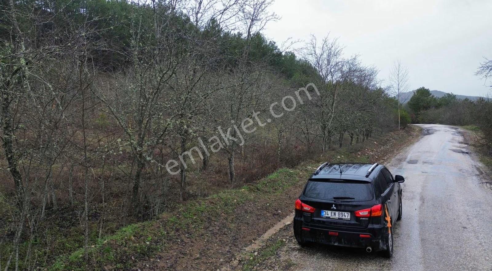 Göynük Kürnüç Köyünde 1268 M2 Satılık Arazi - Görsel 5