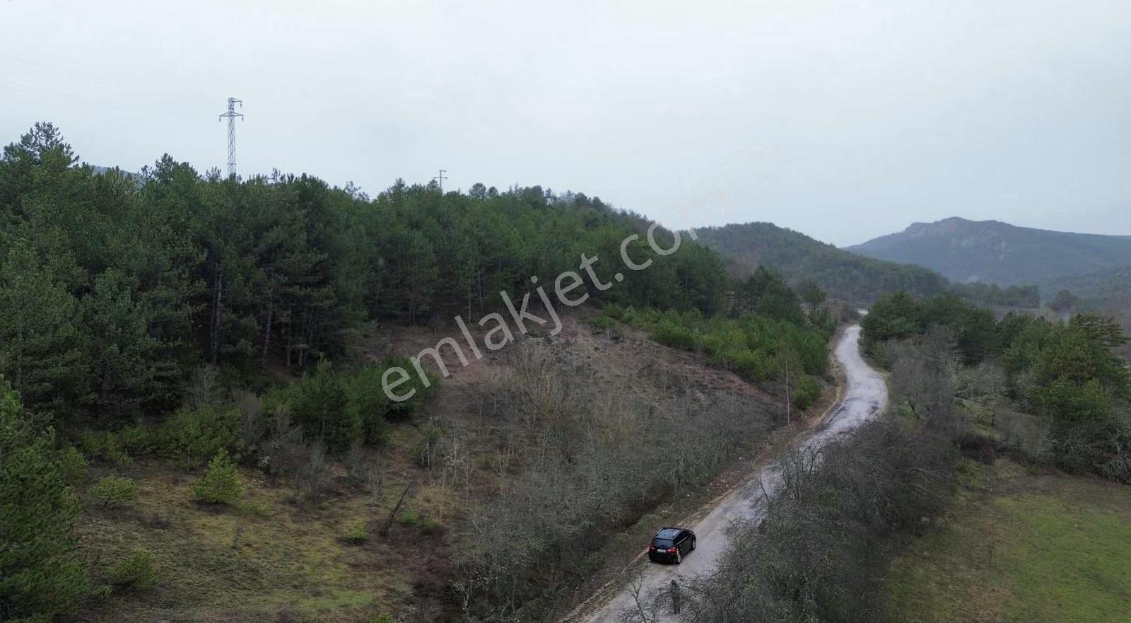 Göynük Kürnüç Köyünde 1268 M2 Satılık Arazi - Görsel 4
