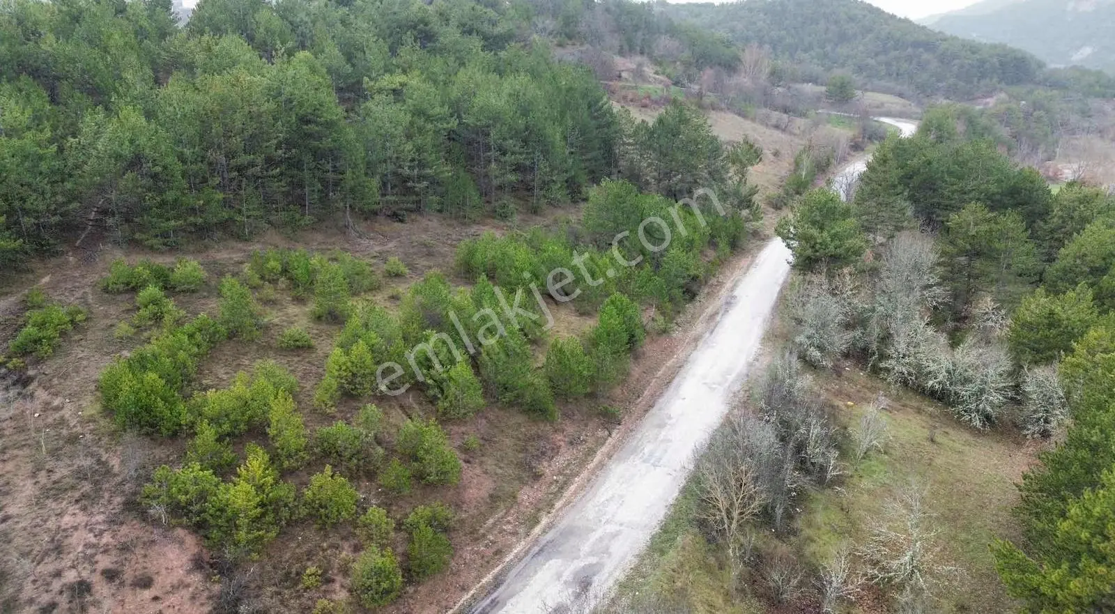 Göynük Kürnüç Köyünde 2379 M2 Satılık Arazi - Görsel 2