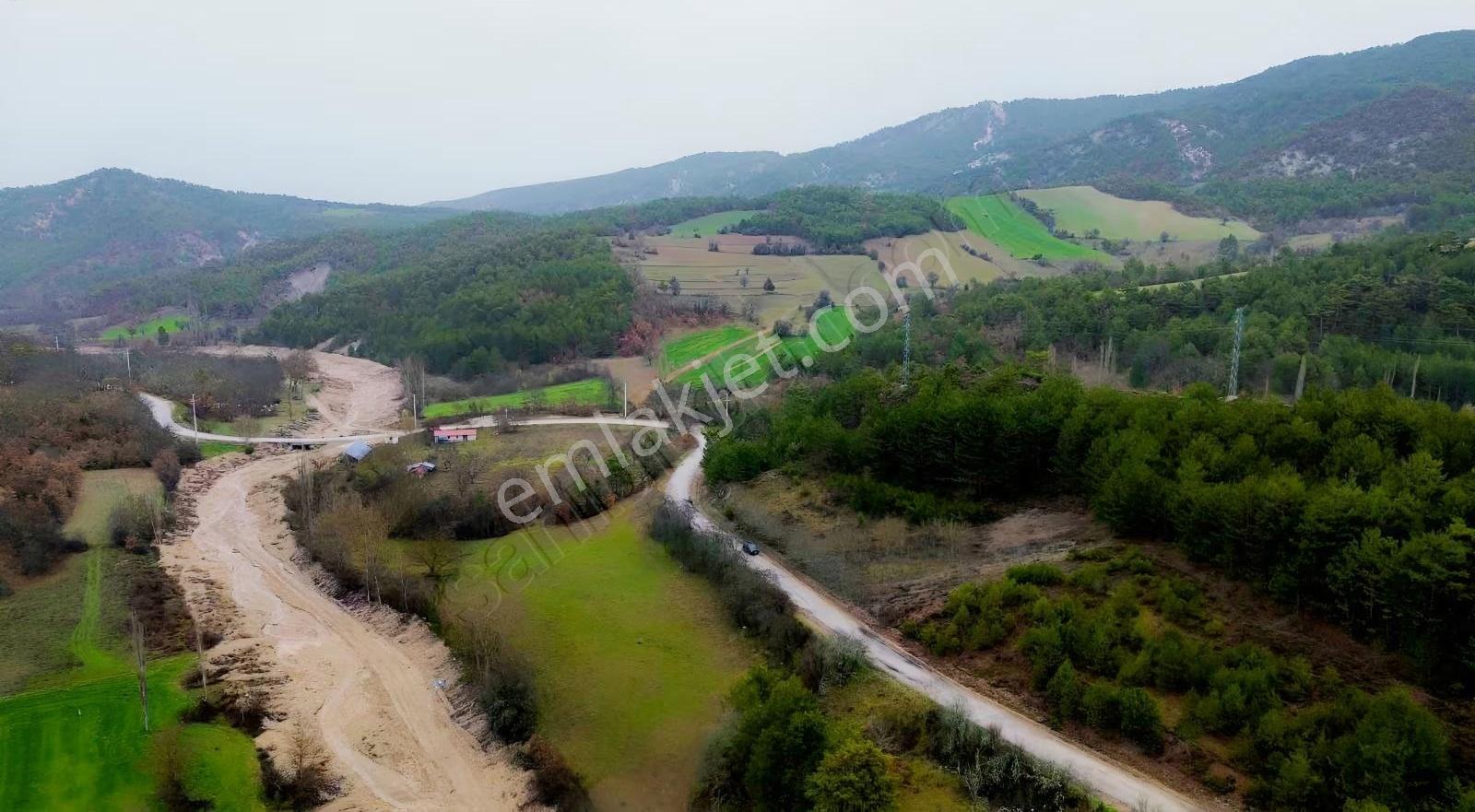 Göynük Kürnüç Köyünde 2379 M2 Satılık Arazi - Görsel 5