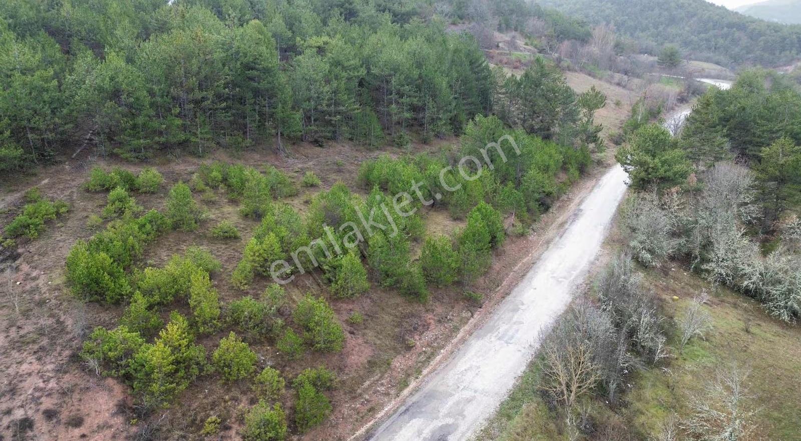 Göynük Kürnüç Köyünde 2379 M2 Satılık Arazi - Görsel 9