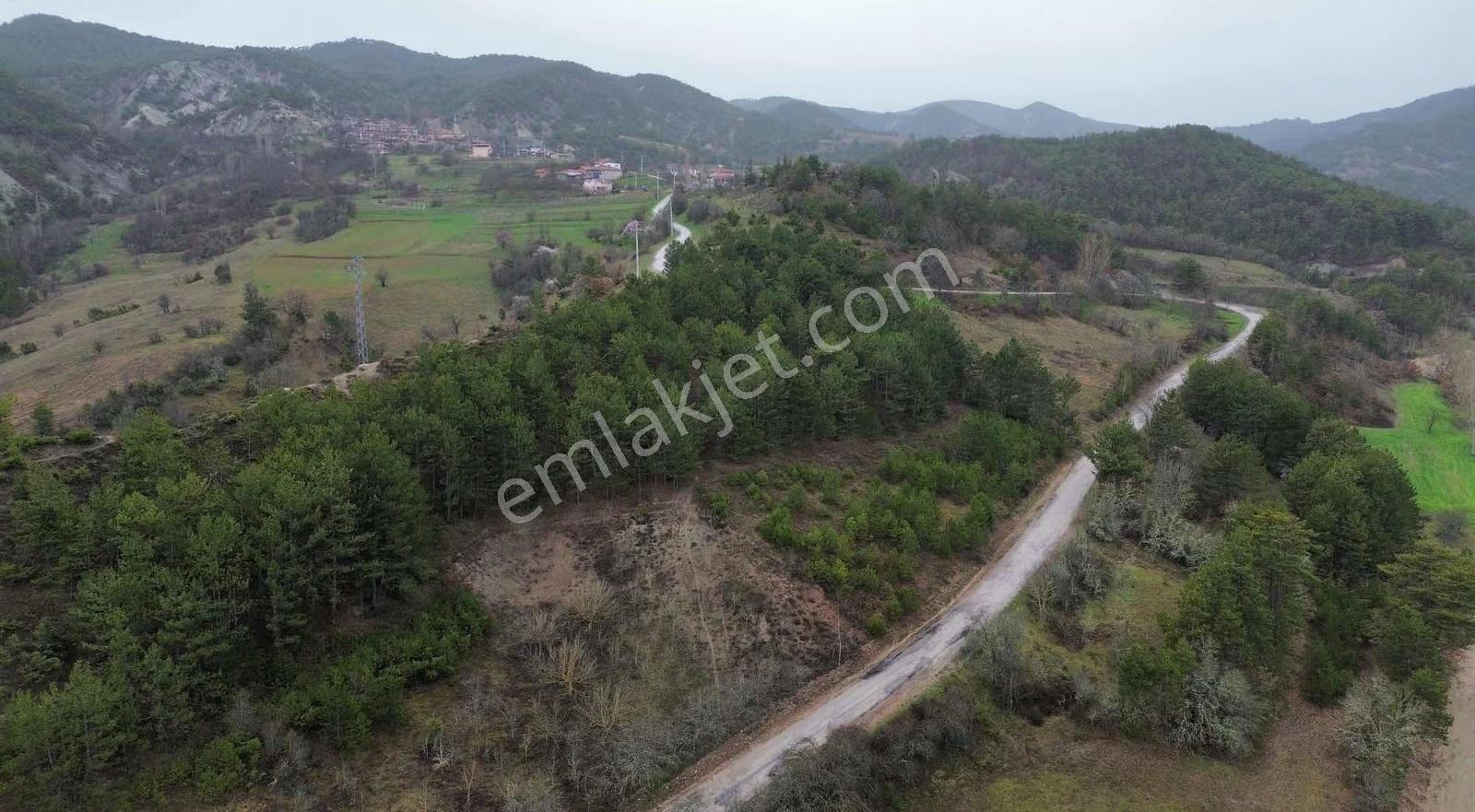 Göynük Kürnüç Köyünde 2379 M2 Satılık Arazi - Görsel 8